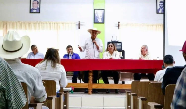 Sedeco Multa A 2 Empresas Aguacateras