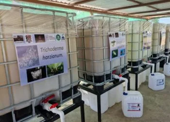 “Triunfo De Sheinbaum Fue Por Una Elección De Estado”: Obispo De Apatzingán Cristóbal Ascencio