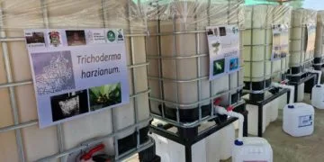 “Triunfo De Sheinbaum Fue Por Una Elección De Estado”: Obispo De Apatzingán Cristóbal Ascencio