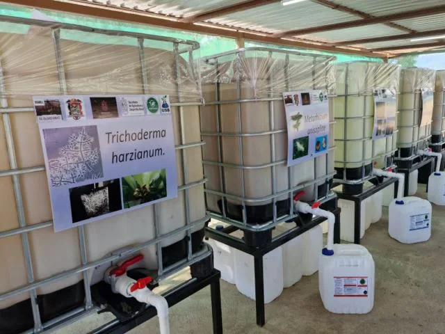 “Triunfo De Sheinbaum Fue Por Una Elección De Estado”: Obispo De Apatzingán Cristóbal Ascencio