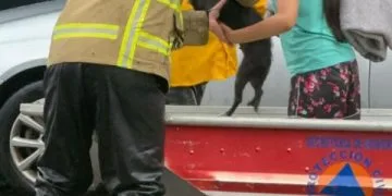 Brinda Pc Estatal Apoyo A Habitantes De Colonia Prados Verdes