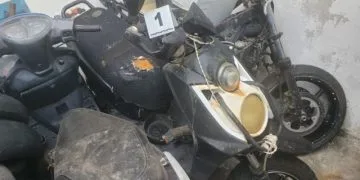 Proyectan Liberar 2 Millones De Tortugas Marinas