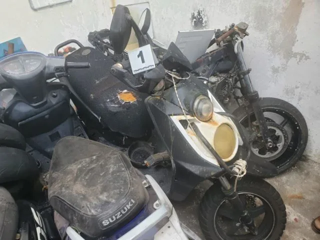 Proyectan Liberar 2 Millones De Tortugas Marinas