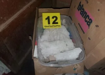 Asegura Mas De 23 Mil Dosis De Narcoticos Y Detiene A Seis Personas - El Día De Michoacán