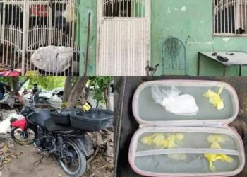 ¡Atención, Estudiantes! Hay Nueva Convocatoria Para Becas De Movilidad