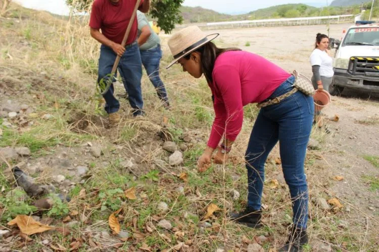 El Medio Ambiente, Será Un Eje Central En Mi Administración: Fanny Arreola 21 “Triunfo De Sheinbaum Fue Por Una Elección De Estado”: Obispo De Apatzingán Cristóbal Ascencio