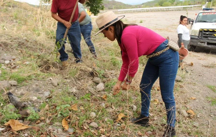 El Medio Ambiente, Será Un Eje Central En Mi Administración: Fanny Arreola 19 Medio Ambiente Sera Un Eje Central En Mi Administracion - El Día De Michoacán