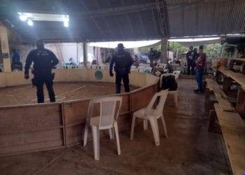 Cumplimenta FGE orden de cateo en predio relacionado en delitos contra el ambiente