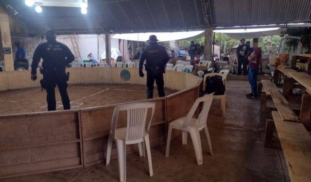 Cumplimenta FGE orden de cateo en predio relacionado en delitos contra el ambiente