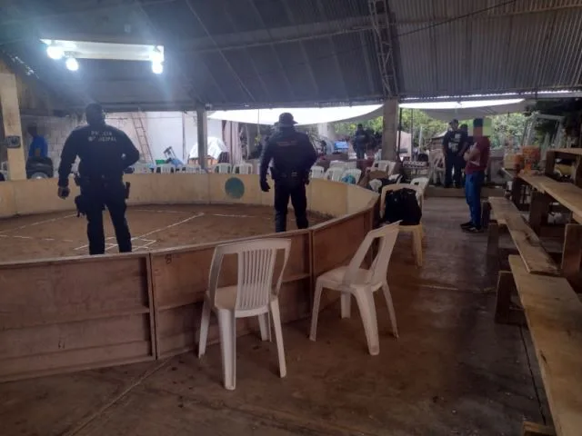 Cumplimenta Fge Orden De Cateo En Predio Relacionado En Delitos Contra El Ambiente