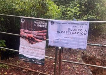 Cumplimenta FGE orden de cateo en predio relacionado en delitos contra el ambiente