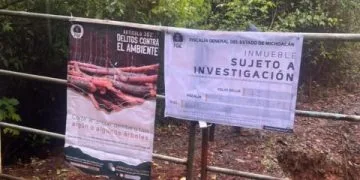 Cumplimenta Fge Orden De Cateo En Predio Relacionado En Delitos Contra El Ambiente