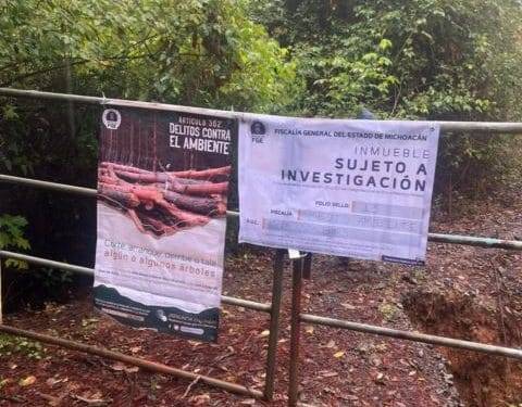 Cumplimenta FGE orden de cateo en predio relacionado en delitos contra el ambiente