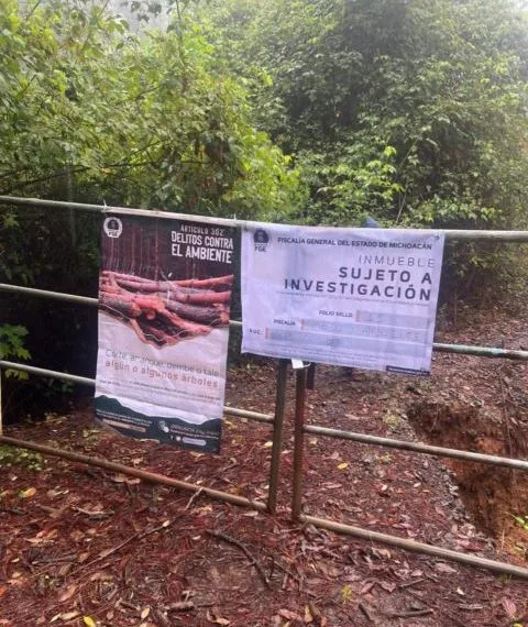 Cumplimenta Fge Orden De Cateo En Predio Relacionado En Delitos Contra El Ambiente 19 Predio Relacionado En Delitos Contra El Ambiente - El Día De Michoacán