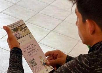 Conoce las 18 alternativas de estudio si no fuiste seleccionado en las Escuelas Normales