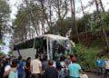 Árbol Se Desploma Sobre Un Autobús, En La Carretera «Libre» Uruapan-Pátzcuaro; 2 Heridos 4 Árbol Se Desploma Sobre Un Autobús, En La Carretera «Libre» Uruapan-Pátzcuaro; 2 Heridos