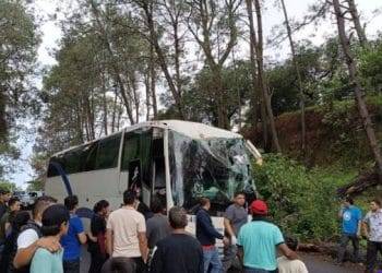 Árbol se desploma sobre un autobús, en la carretera «libre» Uruapan-Pátzcuaro; 2 heridos