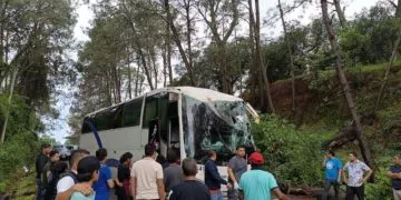 Árbol Se Desploma Sobre Un Autobús, En La Carretera «Libre» Uruapan-Pátzcuaro; 2 Heridos
