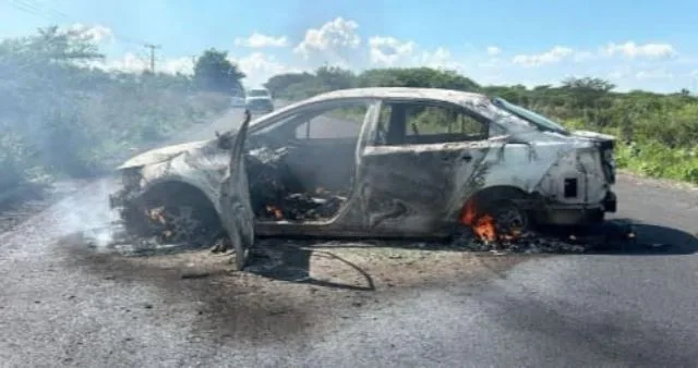 En Cateo De Billar; Asegura Seis Máquinas Tragamonedas  Y Sustancia Con Apariencia De Narcótico