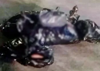 Levantan, Torturan, Ejecutan Y Descuartizan A Seis Personas En Zitácuaro