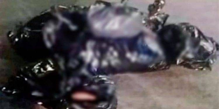Levantan, torturan, Ejecutan y descuartizan a Seis personas en Zitácuaro