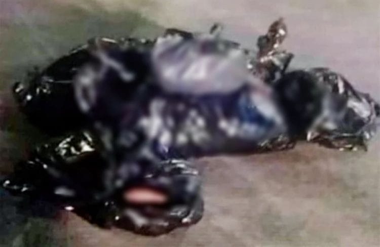 Levantan, Torturan, Ejecutan Y Descuartizan A Seis Personas En Zitácuaro