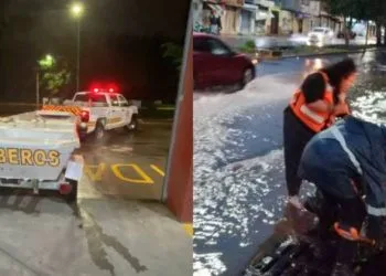 Árbol Se Desploma Sobre Un Autobús, En La Carretera «Libre» Uruapan-Pátzcuaro; 2 Heridos