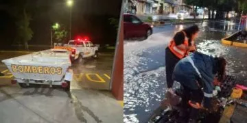 Árbol Se Desploma Sobre Un Autobús, En La Carretera «Libre» Uruapan-Pátzcuaro; 2 Heridos