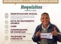 Estas son las fechas para el Registro y requisitos para la pensión de adultos mayores 2 Árbol se desploma sobre un autobús, en la carretera «libre» Uruapan-Pátzcuaro; 2 heridos