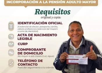 Árbol Se Desploma Sobre Un Autobús, En La Carretera «Libre» Uruapan-Pátzcuaro; 2 Heridos