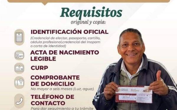 Árbol se desploma sobre un autobús, en la carretera «libre» Uruapan-Pátzcuaro; 2 heridos