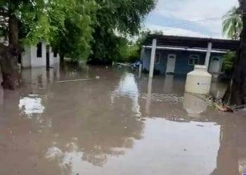 En Maravatío aseguran 118 máquinas tragamonedas