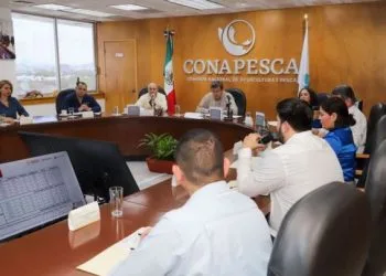 Hundiran Mil 100 Arrecifes Artificiales En La Costa Michoacana