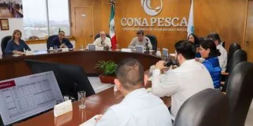 Hundiran Mil 100 Arrecifes Artificiales En La Costa Michoacana - El Día De Michoacán