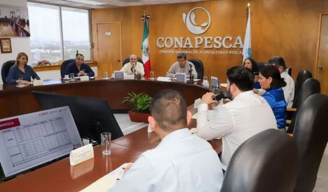 Hundiran Mil 100 Arrecifes Artificiales En La Costa Michoacana - El Día De Michoacán