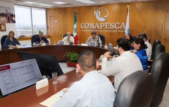 Hundirán Mil 100 Arrecifes Artificiales En La Costa Michoacana 22 Hundirán Mil 100 Arrecifes Artificiales En La Costa Michoacana