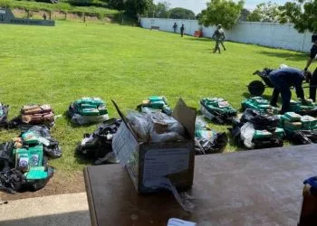 Conoce Las 18 Alternativas De Estudio Si No Fuiste Seleccionado En Las Escuelas Normales