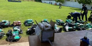 Conoce Las 18 Alternativas De Estudio Si No Fuiste Seleccionado En Las Escuelas Normales