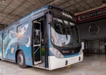 Conoce Las 18 Alternativas De Estudio Si No Fuiste Seleccionado En Las Escuelas Normales