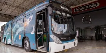 Conoce Las 18 Alternativas De Estudio Si No Fuiste Seleccionado En Las Escuelas Normales