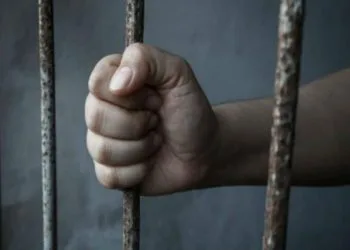 Participa El Ombudsperson Michoacano En El Encuentro Binacional México Colombia, En Torno A Los Derechos De Periodistas Y Personas Defensoras De Derechos Humanos