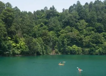 En Cateo De Billar; Asegura Seis Máquinas Tragamonedas  Y Sustancia Con Apariencia De Narcótico