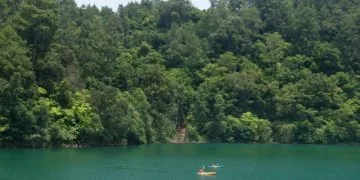 En Cateo De Billar; Asegura Seis Máquinas Tragamonedas  Y Sustancia Con Apariencia De Narcótico