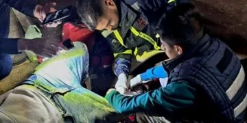 Levantan, Torturan, Ejecutan Y Descuartizan A Seis Personas En Zitácuaro