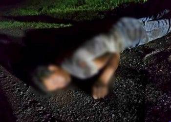 Árbol se desploma sobre un autobús, en la carretera «libre» Uruapan-Pátzcuaro; 2 heridos