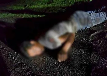 Árbol Se Desploma Sobre Un Autobús, En La Carretera «Libre» Uruapan-Pátzcuaro; 2 Heridos