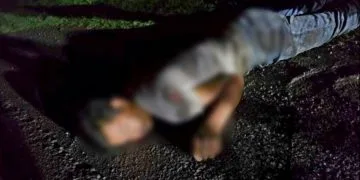 Árbol Se Desploma Sobre Un Autobús, En La Carretera «Libre» Uruapan-Pátzcuaro; 2 Heridos