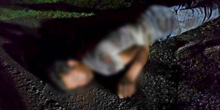 Árbol se desploma sobre un autobús, en la carretera «libre» Uruapan-Pátzcuaro; 2 heridos