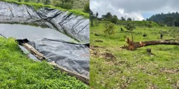 Árbol Se Desploma Sobre Un Autobús, En La Carretera «Libre» Uruapan-Pátzcuaro; 2 Heridos