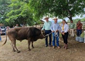 Combate y castigo a la extorsión avanza en Michoacán: Bedolla